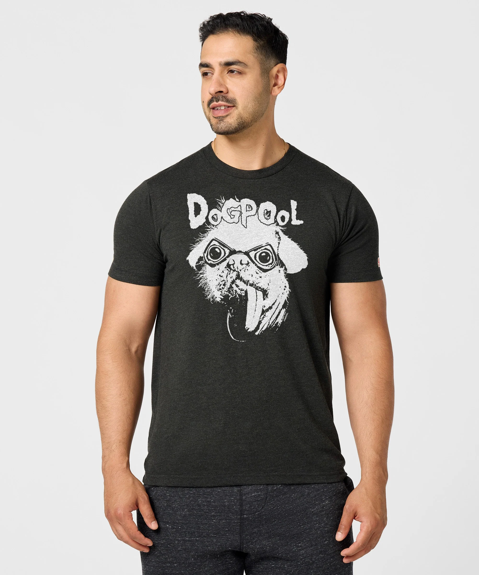 Deadpool The Real Big Dog: Dogpool - Image 3
