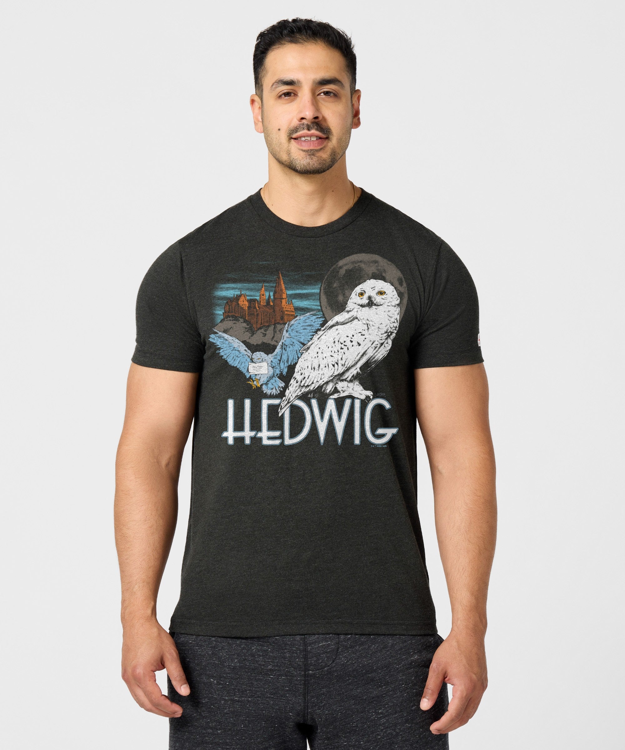 Hedwig - Image 3