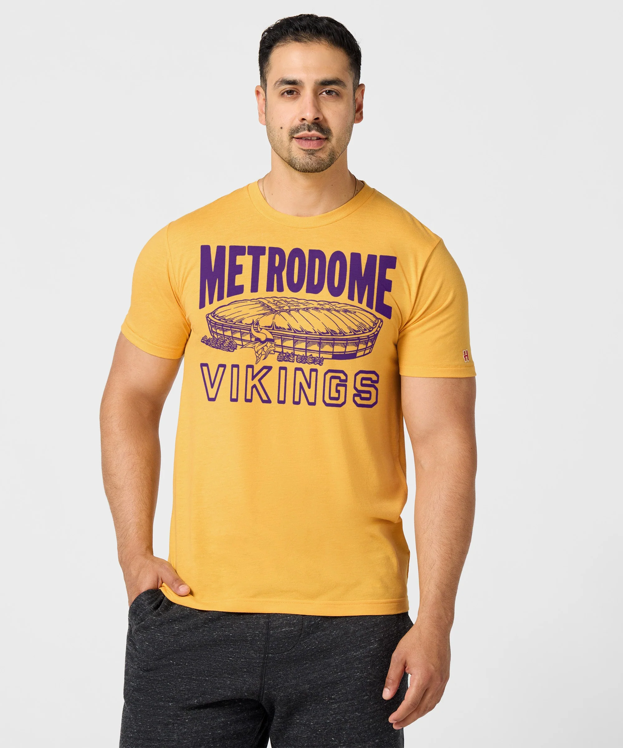 Minnesota Vikings Metrodome - Image 3