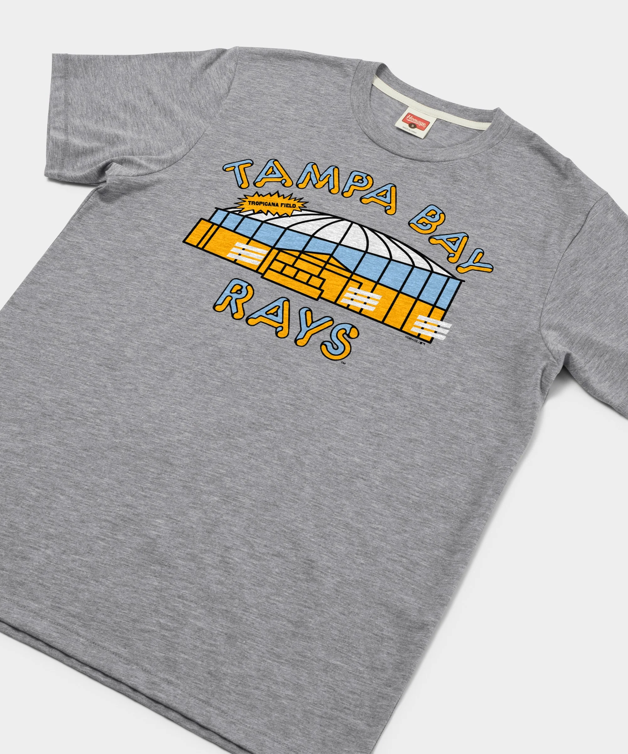 Tampa Bay Rays Tropicana Field Retro - Image 2