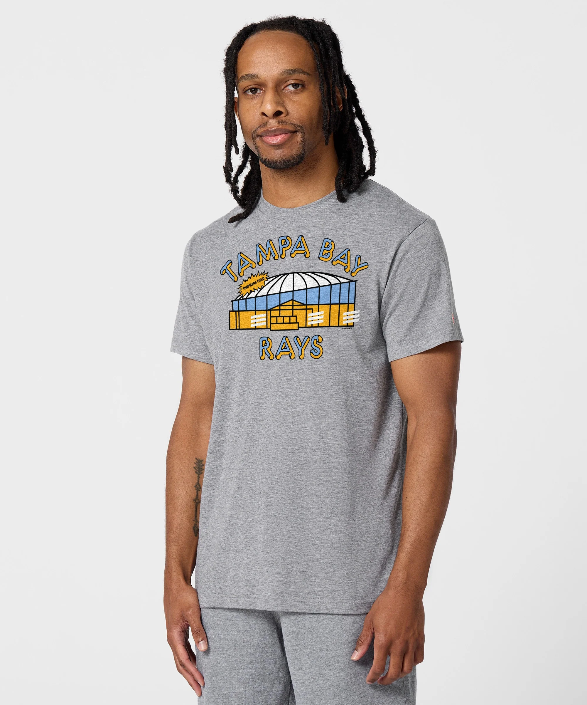 Tampa Bay Rays Tropicana Field Retro - Image 3