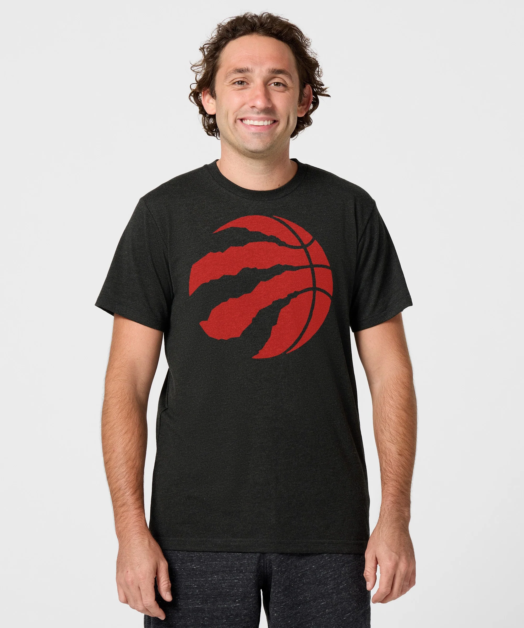 Toronto Raptors Logo - Image 3