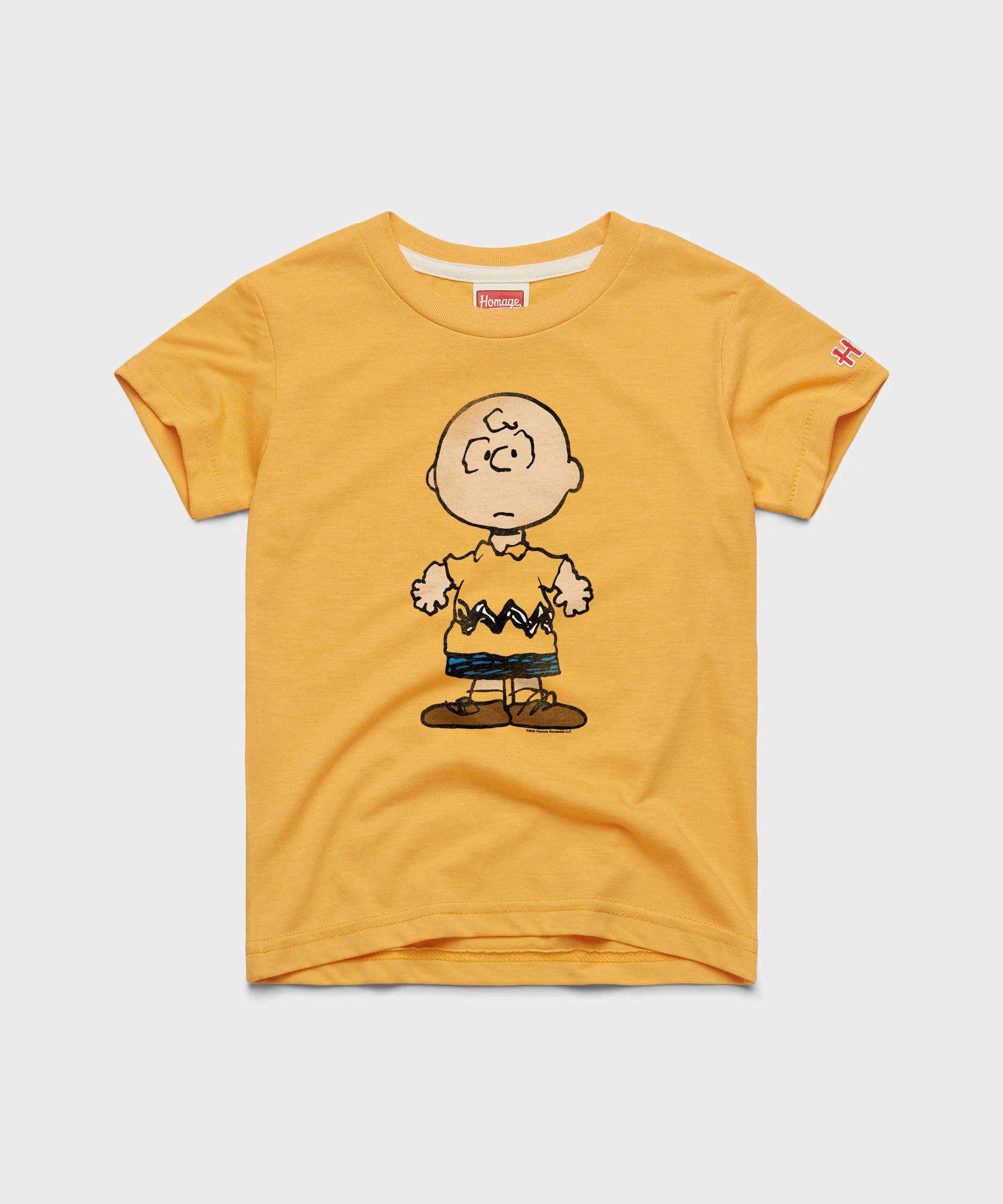 Youth Peanuts Charlie Brown Character