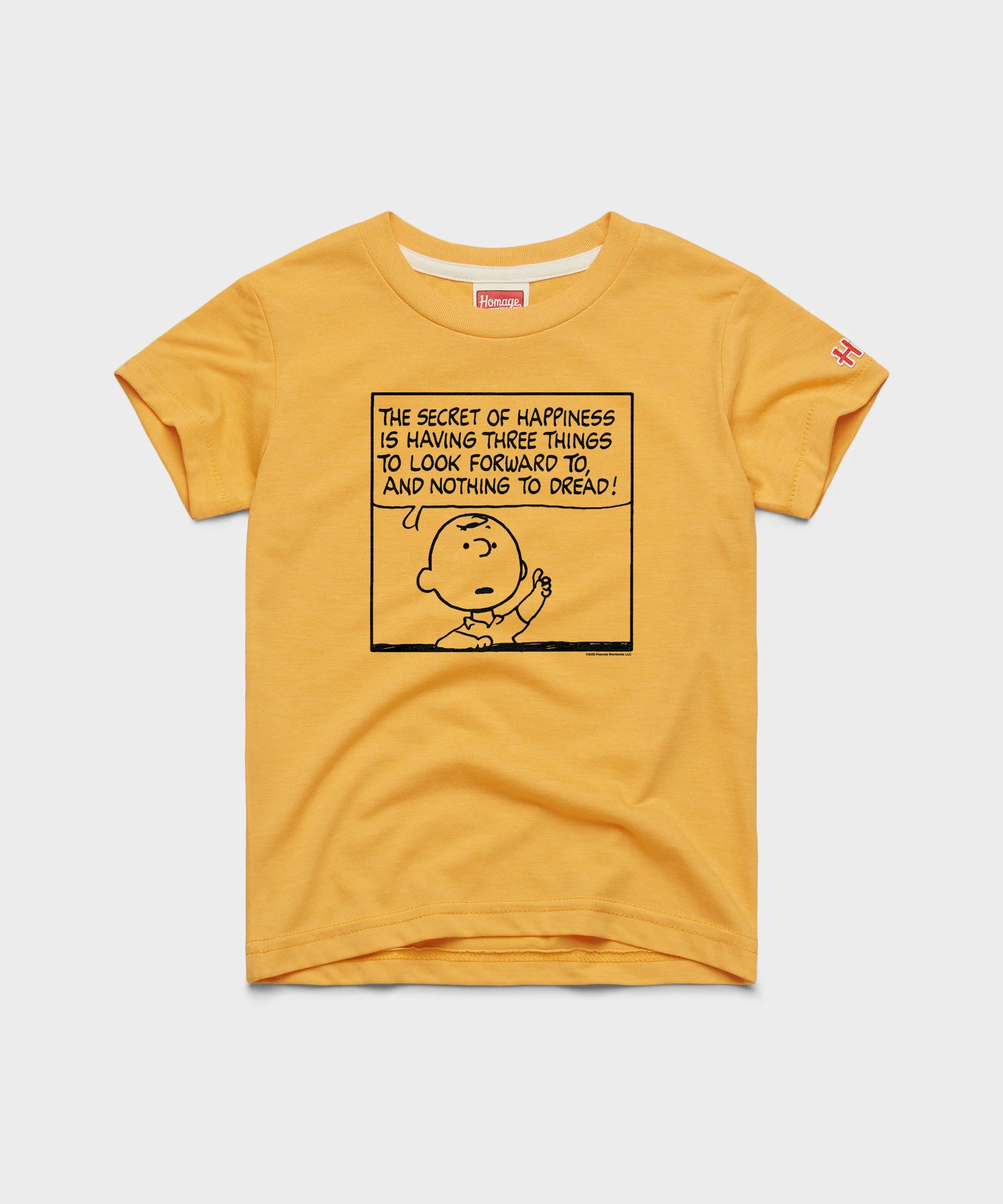 Youth Peanuts Charlie Brown Secret Of Happiness